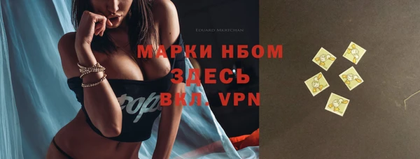 дживик Абаза