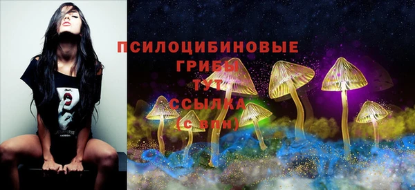 бошки Абинск