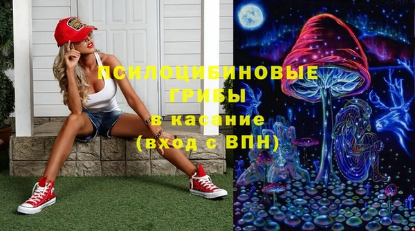 бошки Абинск