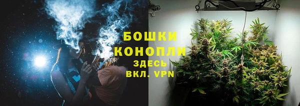 дживик Абаза