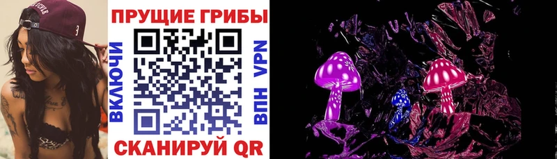 Псилоцибиновые грибы мухоморы  наркошоп  Александровск-Сахалинский 